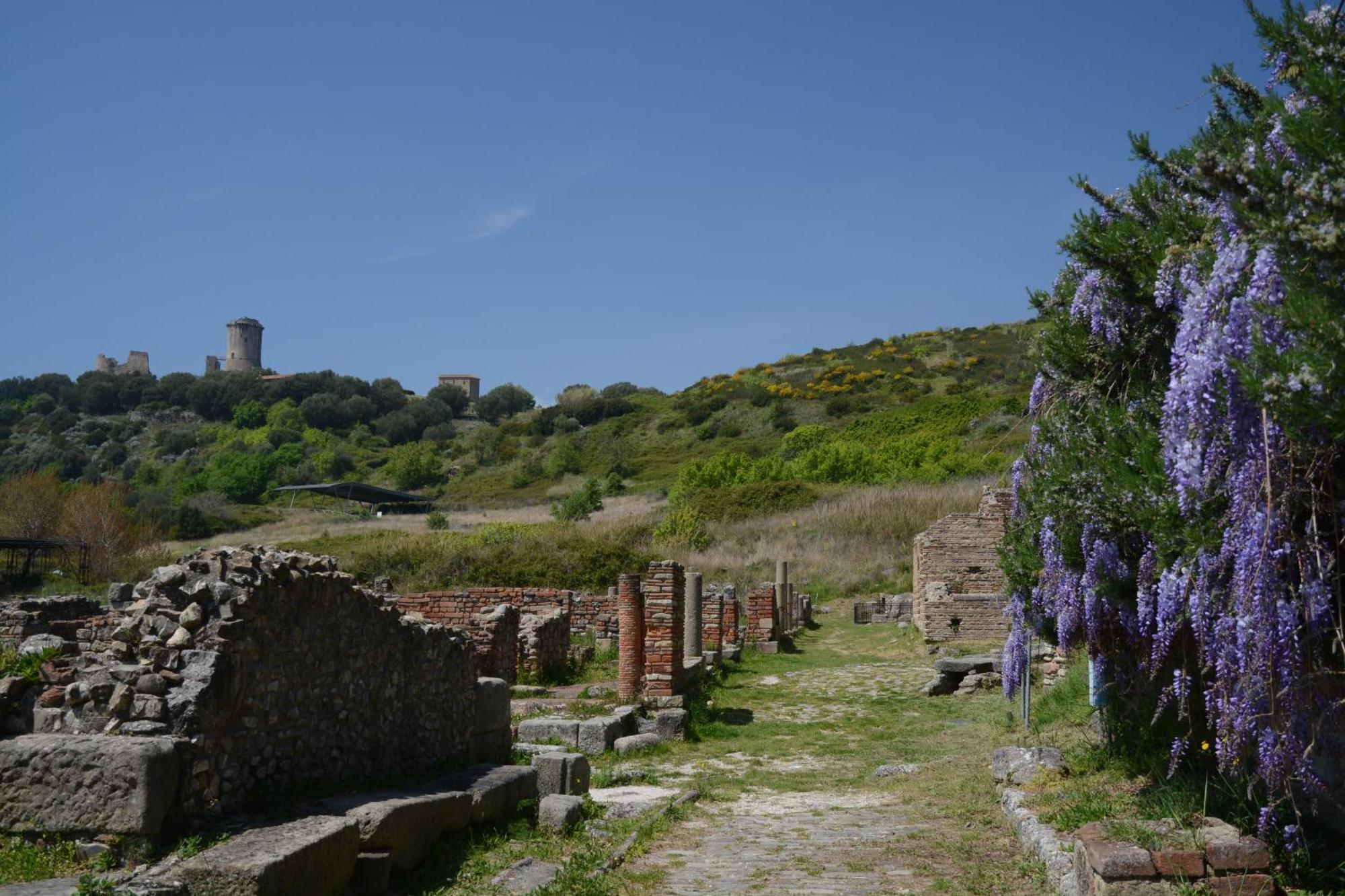 Agriturismo La Petrosa Ceraso Zewnętrze zdjęcie