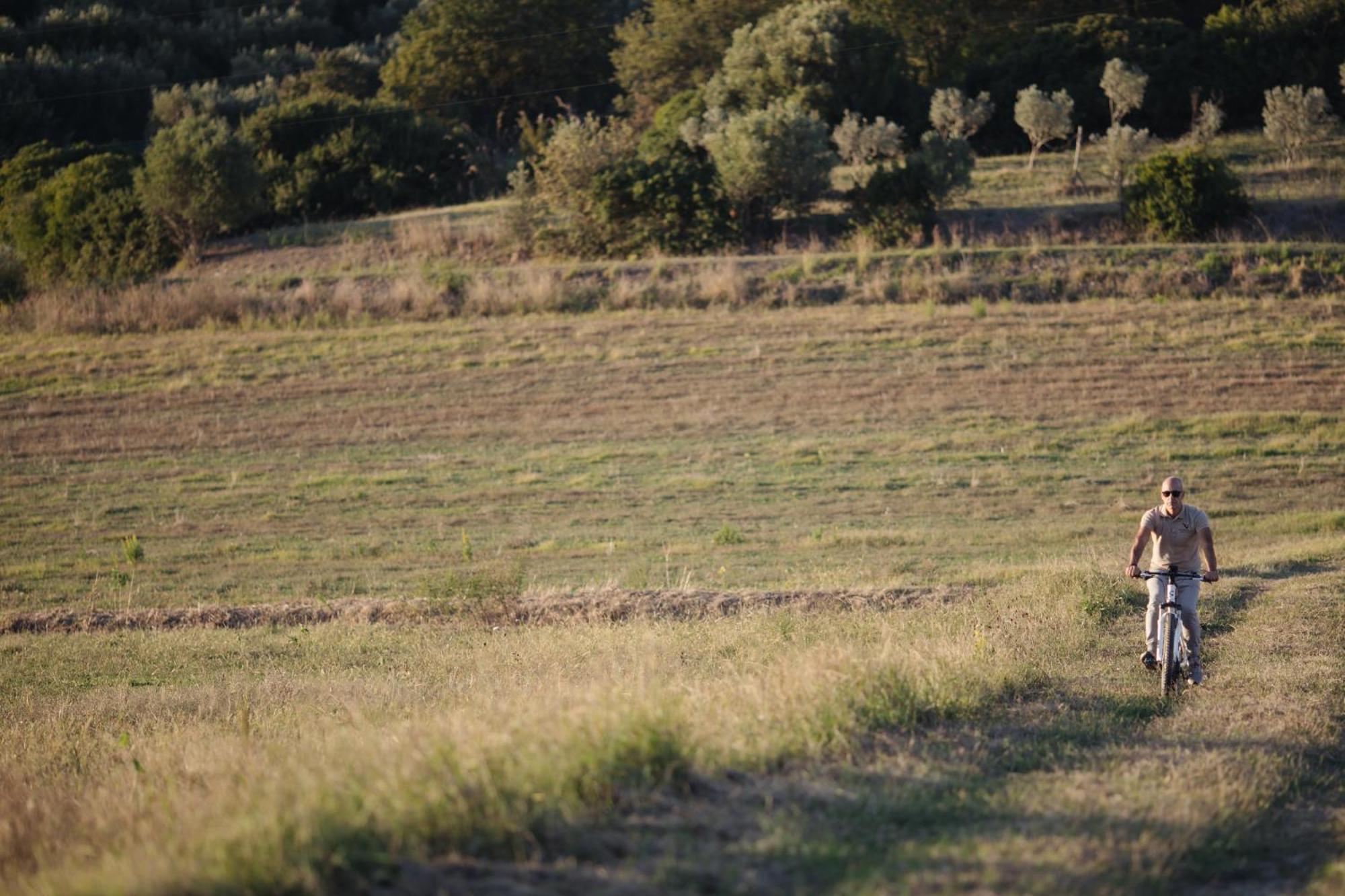 Agriturismo La Petrosa Ceraso Zewnętrze zdjęcie