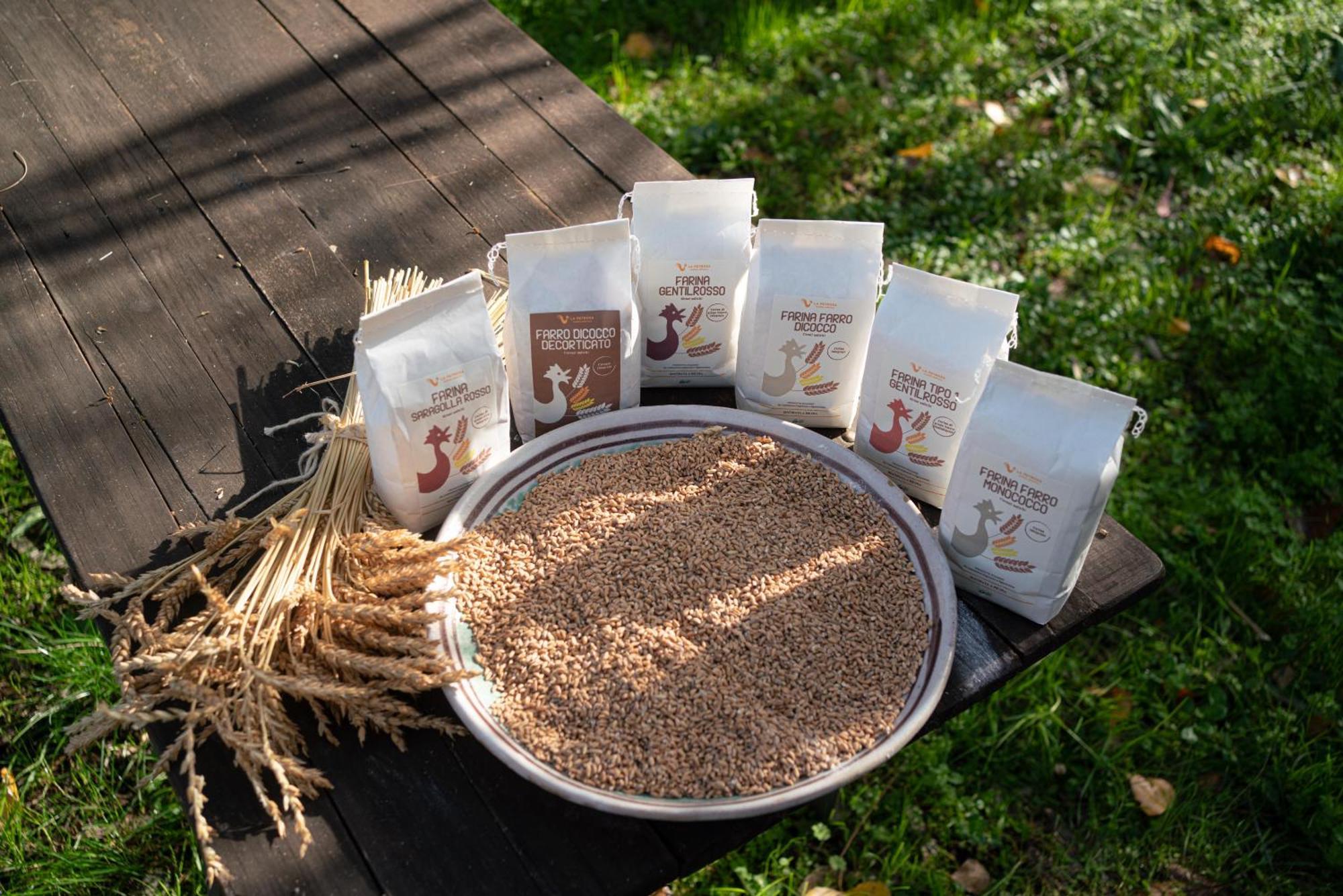 Agriturismo La Petrosa Ceraso Zewnętrze zdjęcie