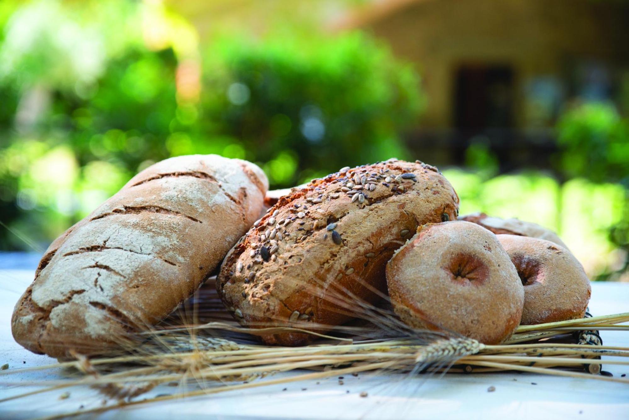 Agriturismo La Petrosa Ceraso Zewnętrze zdjęcie