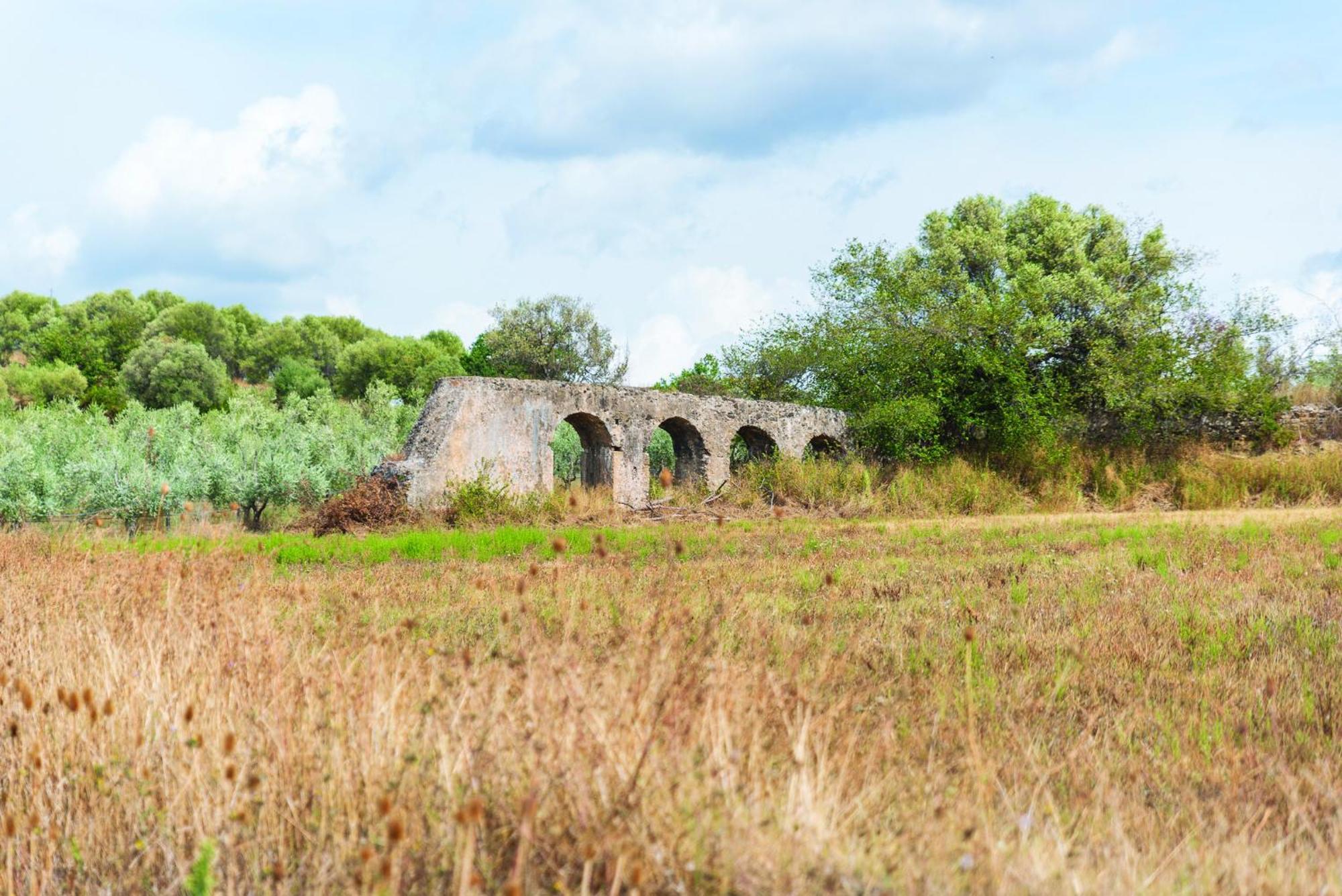 Agriturismo La Petrosa Ceraso Zewnętrze zdjęcie