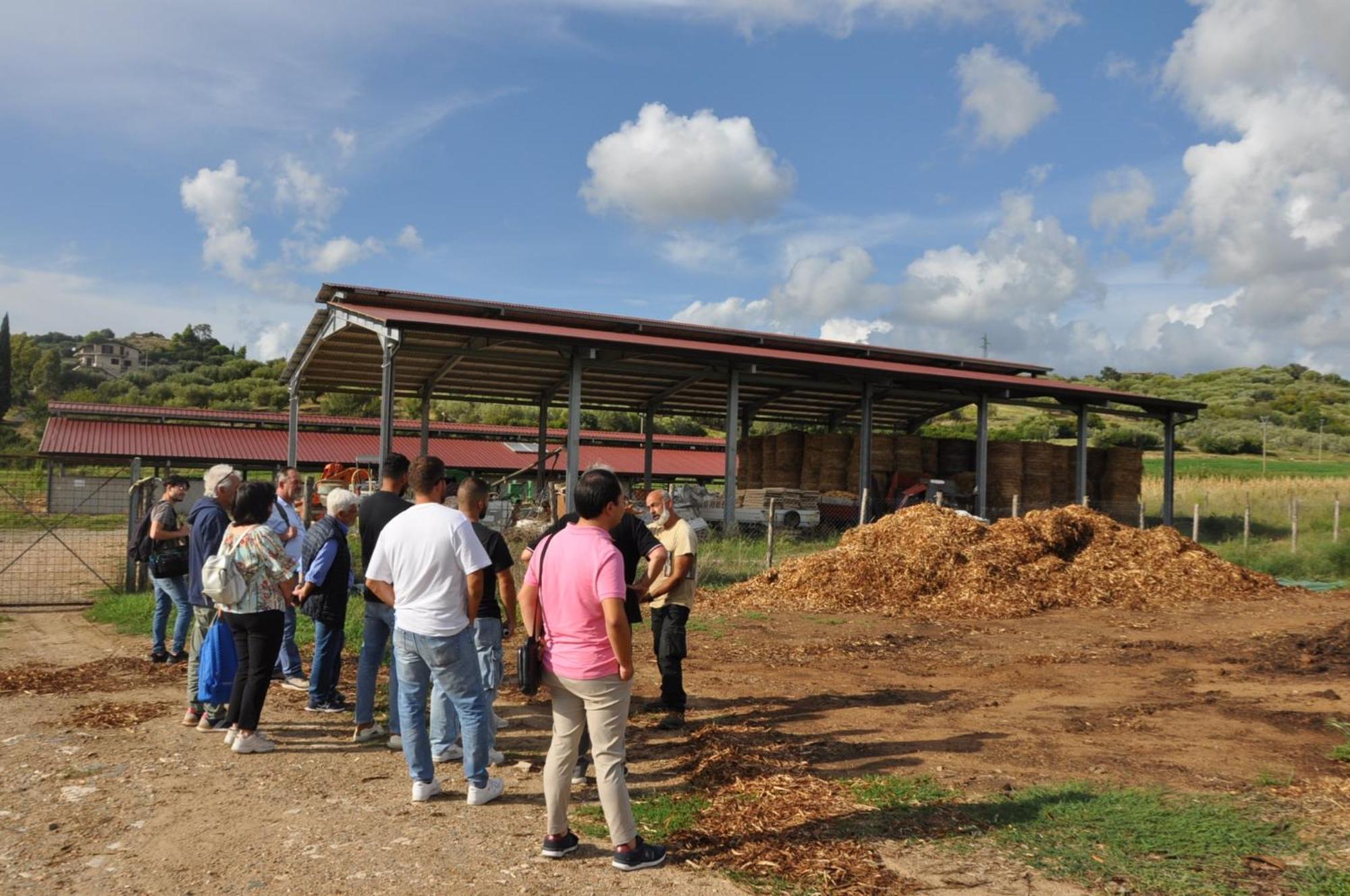 Agriturismo La Petrosa Ceraso Zewnętrze zdjęcie