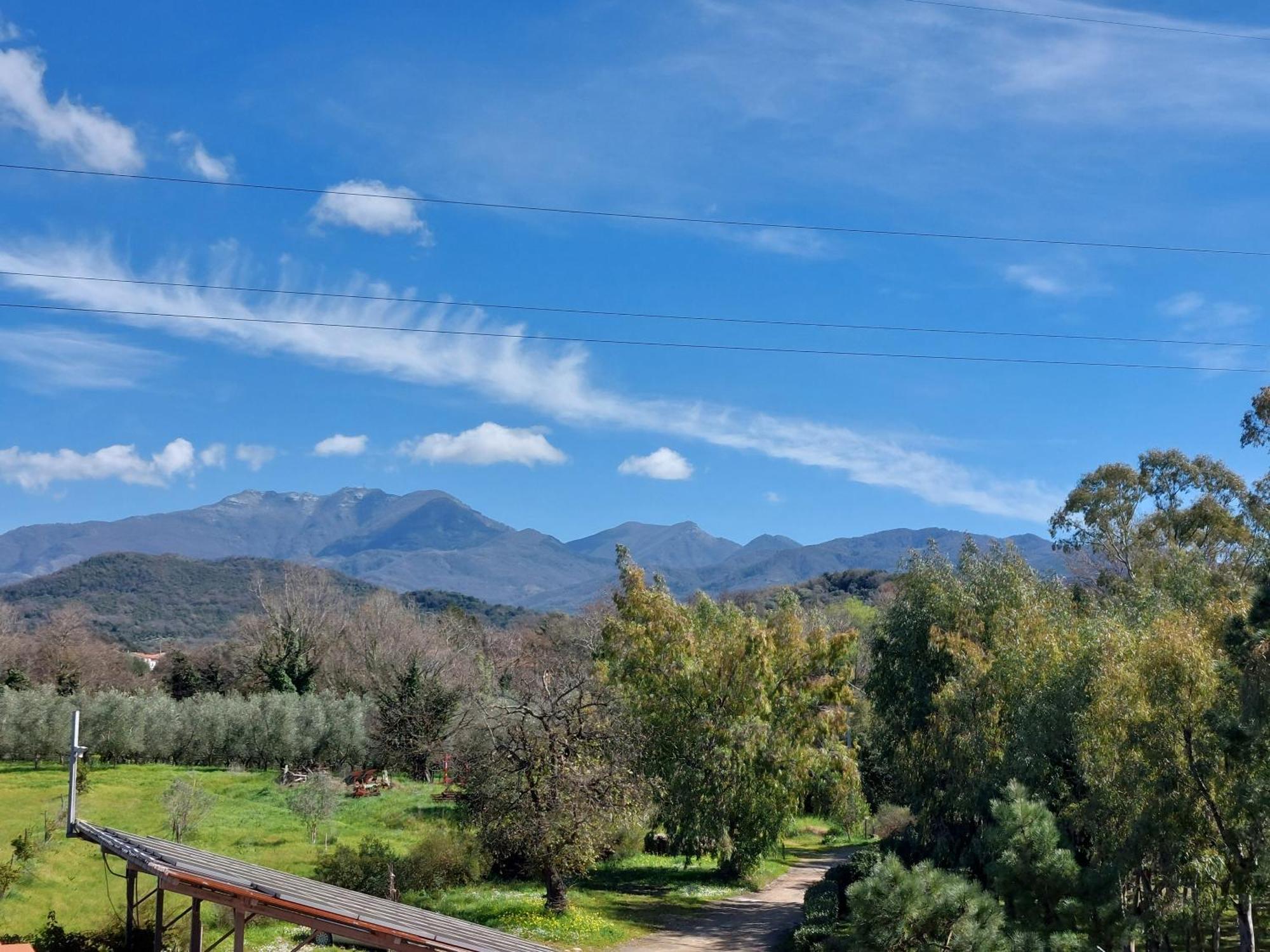Agriturismo La Petrosa Ceraso Zewnętrze zdjęcie